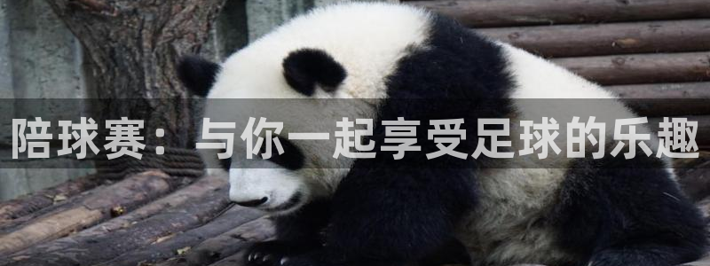 意昂4登录平台：陪球赛：与你一起享受足球的乐趣