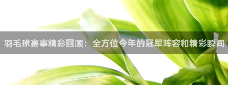 意昂4主管：羽毛球赛事精彩回顾：全方位今年的冠军阵容和精彩瞬