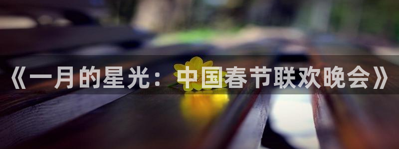 意昂4平台登录：《一月的星光：中国春节联欢晚会》