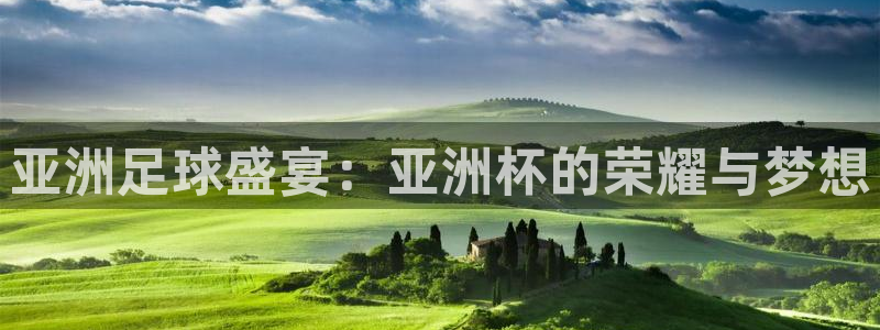 意昂4体育：亚洲足球盛宴：亚洲杯的荣耀与梦想