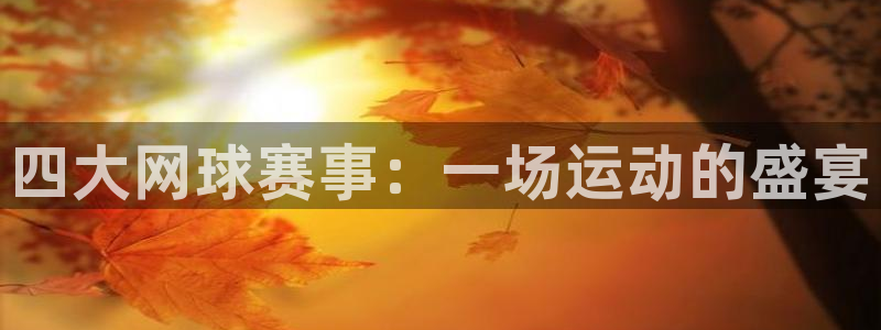 意昂4代理注册登陆：四大网球赛事：一场运动的盛宴