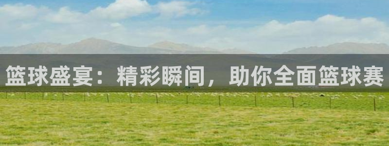意昂4娱乐平台：篮球盛宴：精彩瞬间，助你全面篮球赛