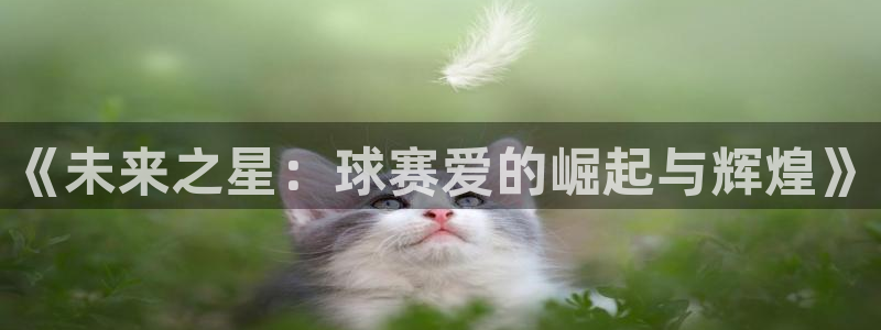 意昂4招商：《未来之星：球赛爱的崛起与辉煌》